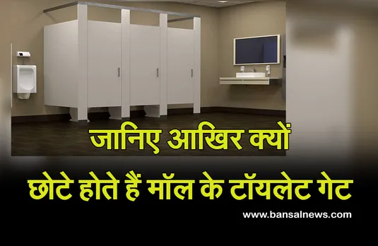 Toilet in Mall : आखिर क्यों नीचे से कटे होते हैं मॉल के टॉयलेट के गेट, जान लीजिए इसके पीछे की वजह