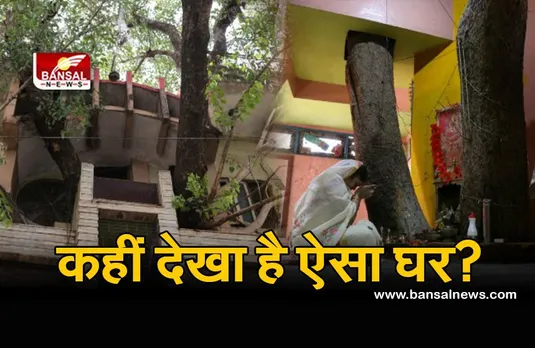 Jabalpur: प्रकृति प्रेम की अनोखी कहानी, पेड़ को कोई नुकसान न हो इसलिए उसके चारों तरफ बनवाया घर, आज दूर-दूर से देखने आते हैं लोग
