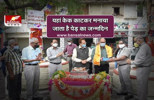 भोपाल: केक काटकर मनाया जाता है पेड़ का जन्मदिन, 25 साल से परंपरा निभा रहे हैं यहां के लोग