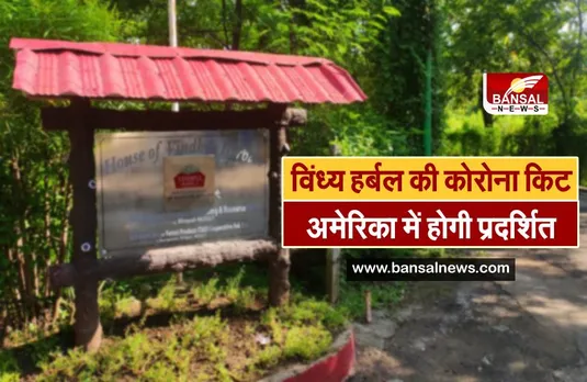 MP: विंध्य हर्बल ब्रांड का दुनिया में बजेगा डंका, पहली बार भारत से बाहर किया जाएगा प्रदर्शन