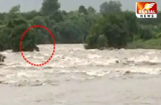 डैम के पानी के बीच फंसा युवक, रेस्क्यू कर निकालने का प्रयास जारी