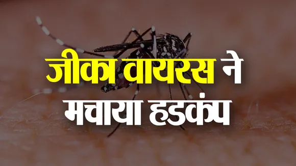 Zika Virus : जीका वायरस, दहशत में लोग, 30 केस एक साथ, 66 पहुंची संख्या