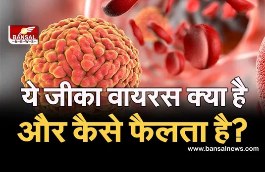कोरोना महामारी के बीच देश में जीका वायरस की एंट्री, जानिए क्या है और किसके लिए है सबसे खतरनाक?