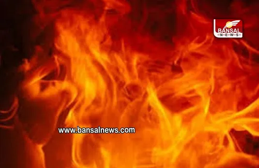 Mumbai: संजय गांधी नेशनल पार्क के एक हिस्से में लगी आग, बुझाने के प्रयास जारी