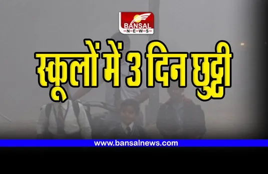 School Closed Due To Cold Wave : स्कूलों में तीन दिन की छुट्टी घोषित, शीलहर के चलते लिया फैसला