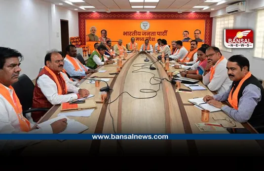 BJP Core Committee meeting : लिए गए कई बड़े फैसले, जिला प्रभारी भी बदले