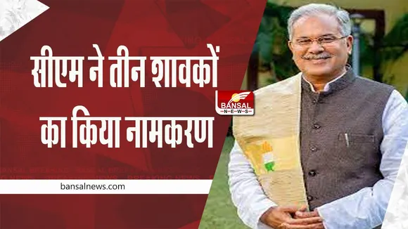 Wildlife Conservation Week: सीएम ने तीन शावकों का किया नामकरण, 10 बाड़े भी लोकार्पित किए