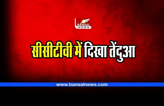 MP : सीसीटीवी में दिखा तेंदुआ; बच्चों को घर के अंदर रखने और दरवाजे बंद रखने को कहा