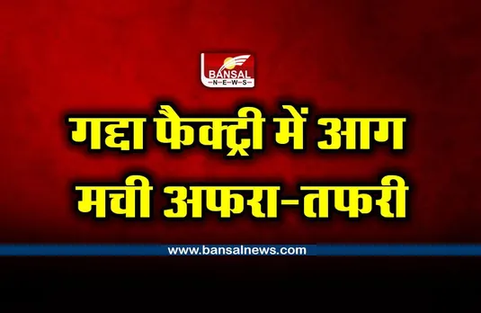 Bhopal Breaking News : गोविंदपुरा गद्दा फैक्ट्री में आग लगने से मची अफरा-तफरी