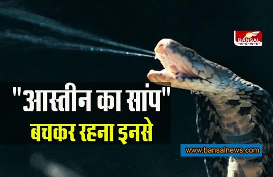 Snake Interesting Fact: इसीलिए कहा जाता है 