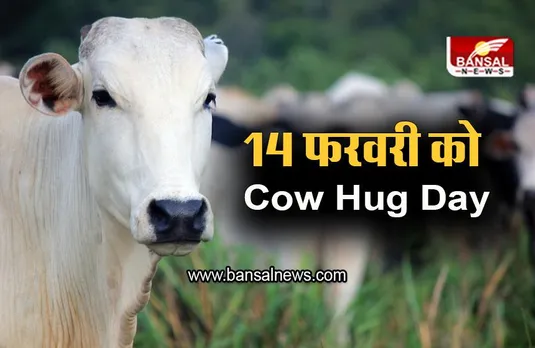 Cow Hug Day: 14 फरवरी को वैलेंटाइन डे की बजाए 'काउ हग डे' मनाए, पशु कल्याण बोर्ड ने की अपील