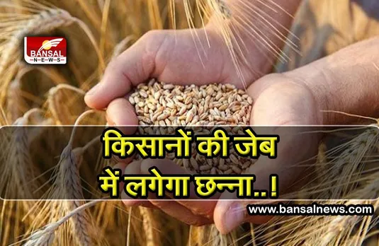 प्रदेश के 17 लाख किसानों को तगड़ा झटका, गेहूं खरीदी से पहले ग्रेडिंग मशीन से होगी क्वालिटी चेक, चार्ज भी लगेगा