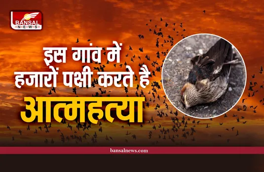 Assam Jatinga Village : भारत के इस गांव में हजारों पक्षी एक साथ करते हैं आत्महत्या