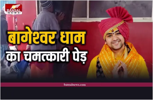 Bageshwar Dham Tree : बागेश्वर धाम में है चमत्कारी पेड़, जिससे लिपटते ही आ जाता है भूत!