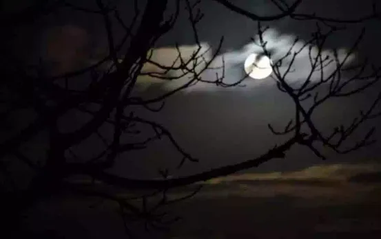 Vaishakh Purnima 2024: चांद और पीपल का ये उपाय कर देगा आपको मालामाल, करना न भूलें