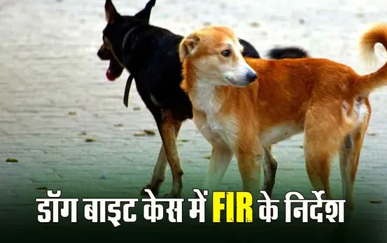 Bhopal Street Dog Bite: भोपाल डॉग बाइट केस में कलेक्टर सख्त, FIR के निर्देश, कब्र से निकाला गया बच्ची का शव