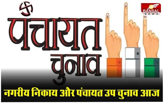 Bhopal MP News: नगरीय निकाय और पंचायत उप चुनाव के लिए मतदान शुरू, 9 जनवरी को रिजल्ट