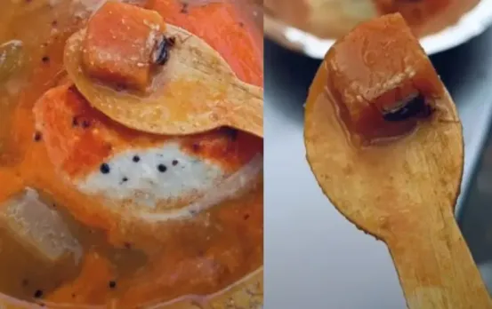 Bhopal News: रेस्टोरेंट में इडली सांभर खा रहा था युवक, अचनाक थाली में कॉकरोच देख उड़े होश; जानें क्या है पूरा मामला