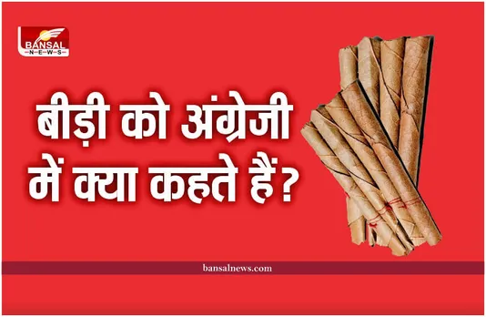 Bidi In English : बीड़ी का अंग्रेजी नाम क्या है, क्या आप जानते है? जानिए