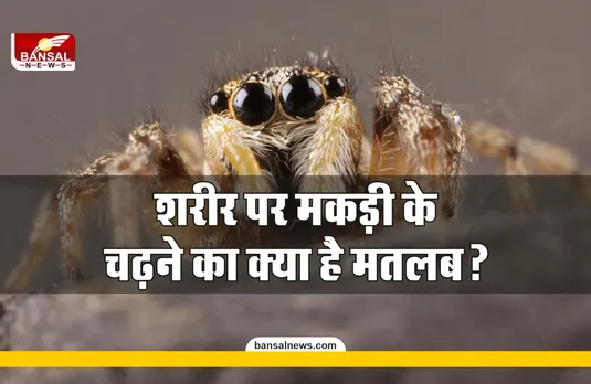 Body Climbing Spider : अगर शरीर पर चढ़ती है मकड़ी, तो जानिए क्या होता है इसका मतलब?