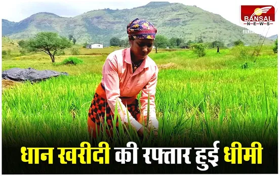 CG News: छत्तीसगढ़ में सरकार धान खरीदी के लक्ष्य से कोसों दूर, बढ़ सकती है तारीख