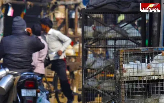 CG News: इस दिन तक बंद रहेगी मांस-मटन की बिक्री, प्रशासन ने जारी की गाइडलाइन