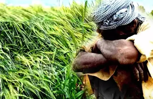 Sarguja News: धान बोनस की राशि न मिलने से परेशान किसानों ने कलेक्टर को सौंपा ज्ञापन, ये लगाया आरोप