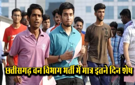 CG News: छत्तीसगढ़ वन विभाग वैकेंसी में मात्र इतने दिन शेष, ऐसे करें आवेदन, इतने पद हैं खाली