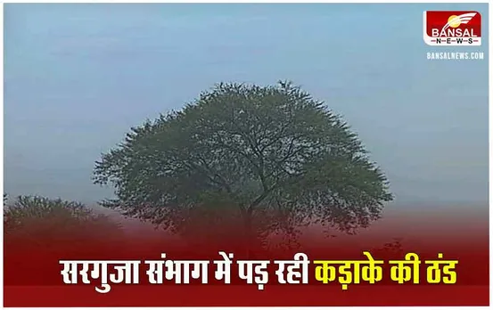 CG Weather Update: आज और कल बिलासपुर संभाग में बारिश की संभावना, जानें आज कैसा रहेगा मौसम