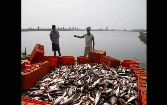 Best State Award: अंतर्देशीय मत्स्य पालन वर्ग में उत्तरप्रदेश का छाया नाम, मिला सर्वश्रेष्ठ का दर्जा