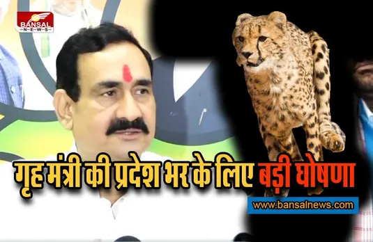 Cheetah News: चीतों के आने के पहले ही एमपी में हुआ बड़ा बदलाव