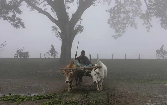 CG Weather Update: आगामी तीन दिनों में पश्चिमी विक्षोभ के प्रभाव से बढ़ेगी नमी, 22 नवंबर के बाद बदलेगा मौसम