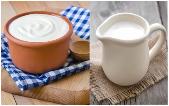 Milk Or Curd: दूध और दही में से कौन है ज्यादा हेल्दी ऑप्शन, किसका सेवन करना ज्यादा फायदेमंद, सच जानकर रह जाएंगे हैरान