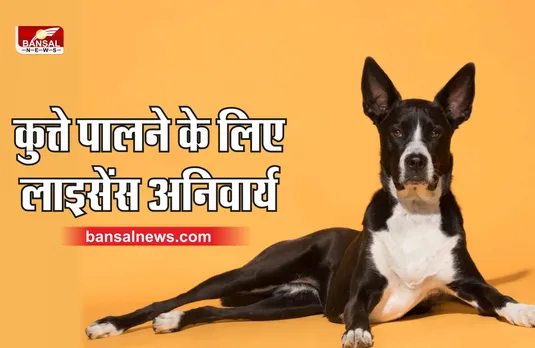 Dog Keeping License : अब कुत्ता पालने के लिए लेना होगा लाइसेंस, नहीं तो देना होगा 5000 का जुर्माना