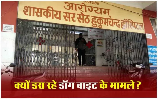 Dog Terror In Indore: इंदौर में एक अस्पताल पर डॉग बाइट के मामलों का बोझ, रोजाना 200 से अधिक मामले आ रहे सामने