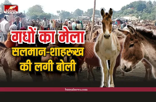 मध्यप्रदेश में गधों का मेला, मेले में लगी 