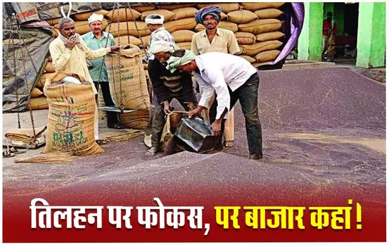 Fall in Oilseeds Prices: विदेशी बाजार में सोयाबीन दाम में गिरावट, जानें MP के किसानों को क्यों नहीं मिल रहा तिलहन पर MSP का लाभ