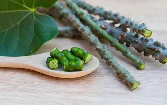 Giloy of Benefits: सेहत के लिए रामबाण है गिलोय, इन बीमारियों से मिलेगा छुटकारा