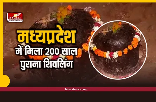 Gwalior News : मध्यप्रदेश में खुदाई के दौरान मिला 200 साल पुराना शिवलिंग