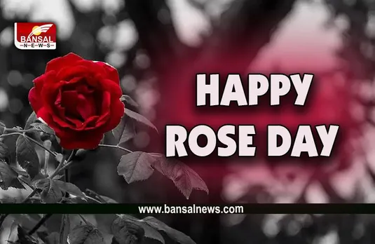 Rose Day 2023 : ​शुरू हो रहे हैं दिलवालों के दिन, वैलेंटाइन वीक की शुरूआत, ये मैसेज कहेंगे आपके दिल की बात