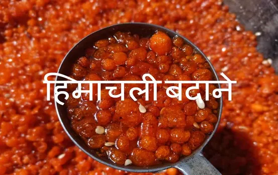 Himachali Badane Recipe: बप्पा के भोग के प्रसाद में बनाएं हिमाचली बदाने, यहां है बनाने की विधि