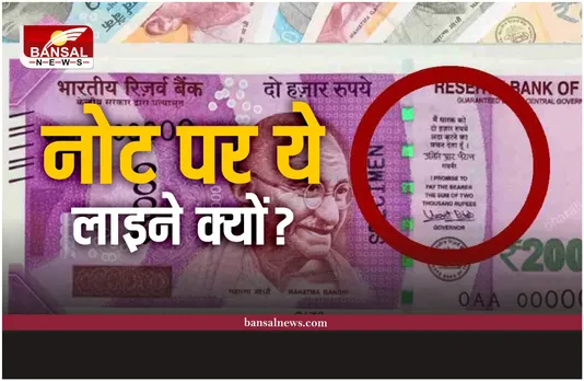 'मैं धारक को...रुपये अदा करने का वचन देता हूं', इन लाइनों का मतलब क्या? जानिए