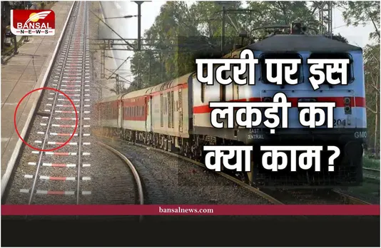 Indian Railway : रेल पटरी और प्लेटफॉर्म के बीच इस लकड़ी का क्या काम, जानिए
