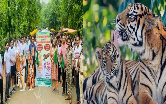 International Tiger Day: अंतरराष्ट्रीय बाघ दिवस पर बालाघाट में  मैराथन दौड़ का आयोजन, बाघों के संरक्षण का बताया महत्व