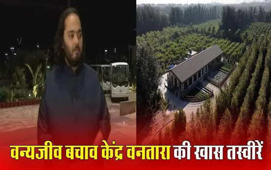 Jamnagar Vantara Photo Gallery: रिलायंस के वनतारा केंद्र की झलक, जहां की जाती है बेजुबां जानवरों की बेहतरीन देखभाल