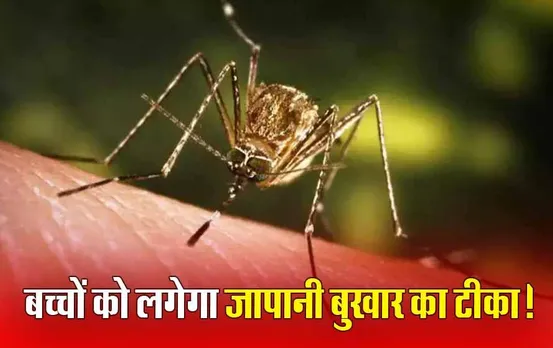 Japanese Encephalitis: भोपाल में 1 से 15 साल तक के 9 लाख बच्चों को लगेगा जापानी बुखार का टीका, 27 फरवरी से होगी शुरुआत