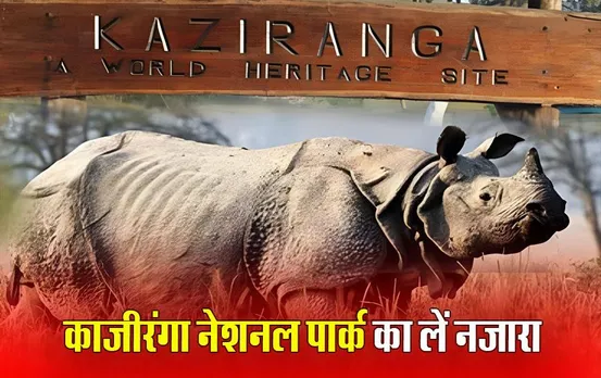 Kaziranga National Park: केवल इतने खर्च में आप भी देखें काजीरंगा नेशनल पार्क का नजारा, परिवार के साथ आज ही करें ट्रिप प्लान