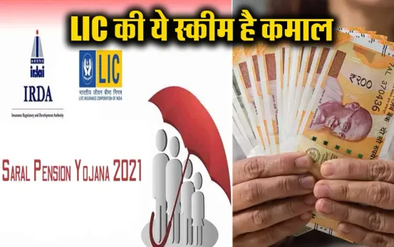 LIC Saral Pension Scheme: इस स्कीम में मात्र एक बार लगाएं पैसा, हर महीने मिलेगा इतने हजार की सैलरी
