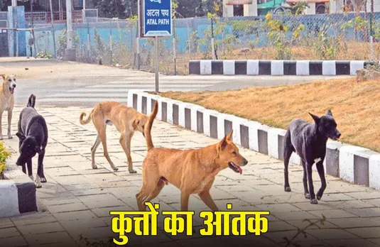 MP News: भोपाल में 7 महीने के बच्चे को कुत्तों किया जख्मी, घर से घसीटकर ले गए थे, मौत