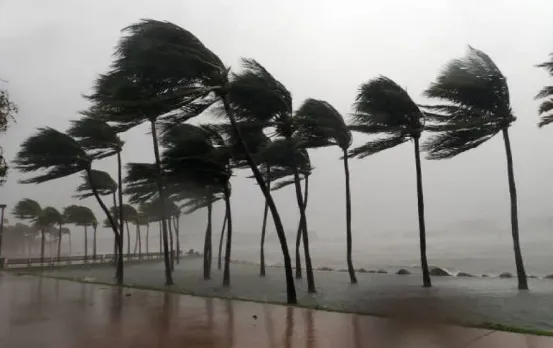 MP में इस दिन से होगी झमाझम बारिश: पूरी तरह से मानसून पहुंचने में लगेंगे इतने दिन, उमस पर मौसम विभाग ने दिया ये अपडेट